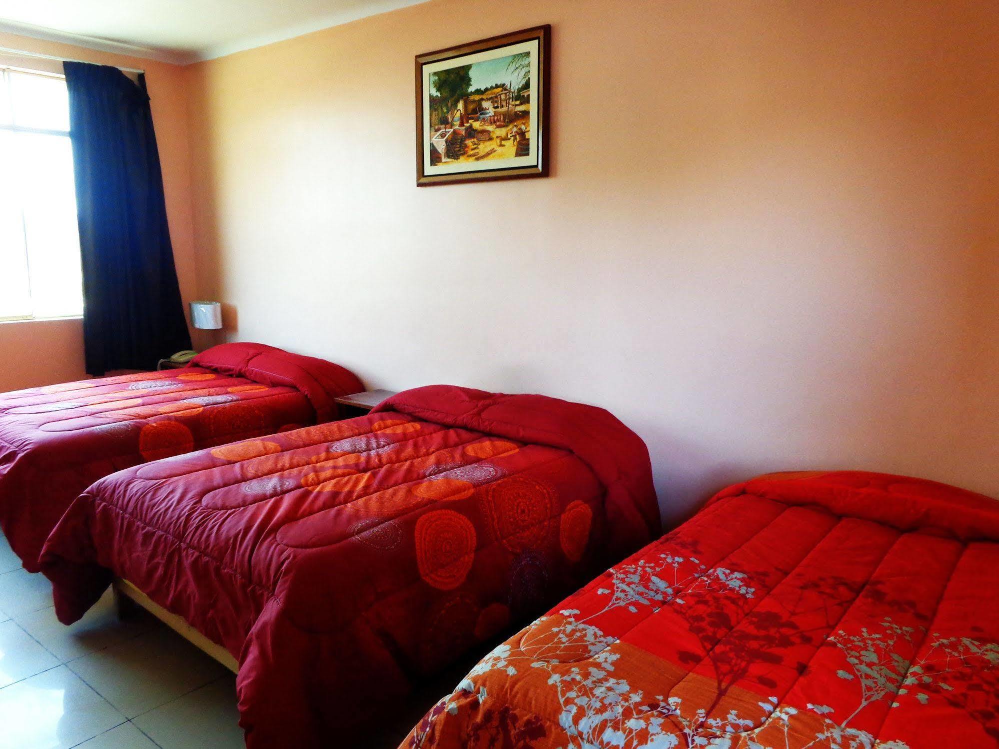 Hotel Colon Plaza إِكا المظهر الخارجي الصورة