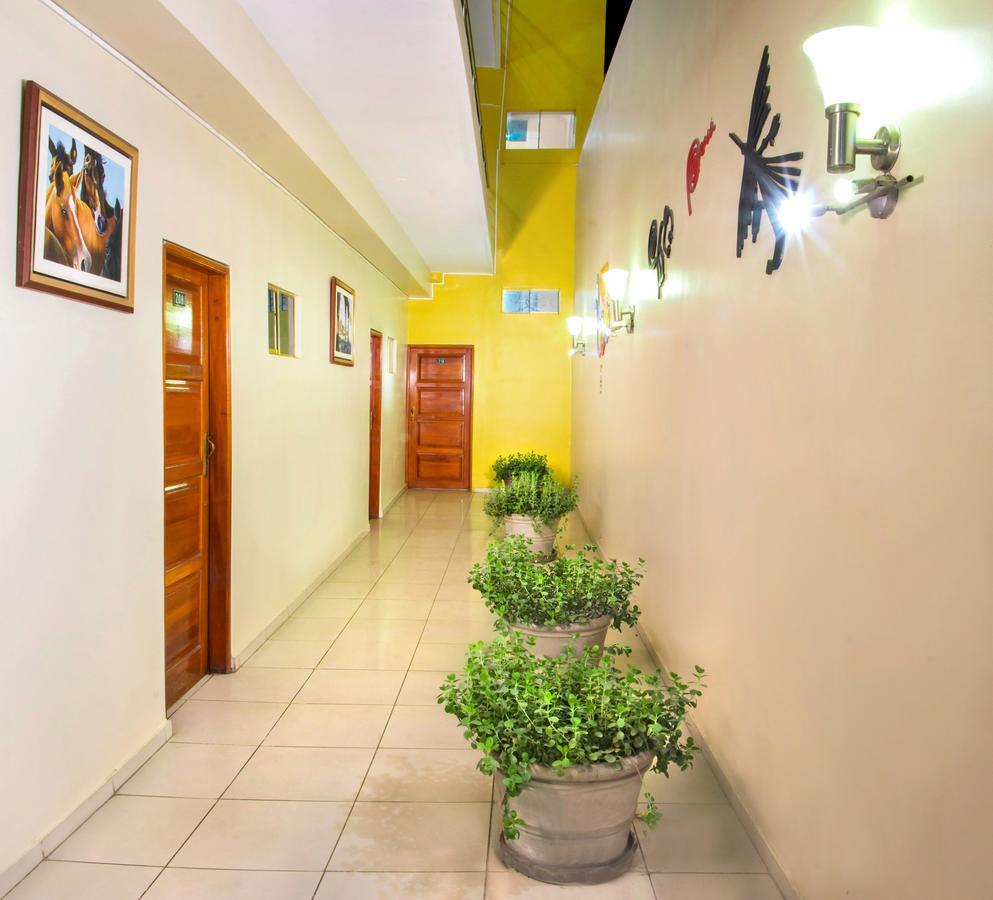 Hotel Colon Plaza إِكا المظهر الخارجي الصورة